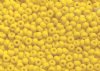 50g 6/0 Opaque Matte Golden Yellow Seed Beads